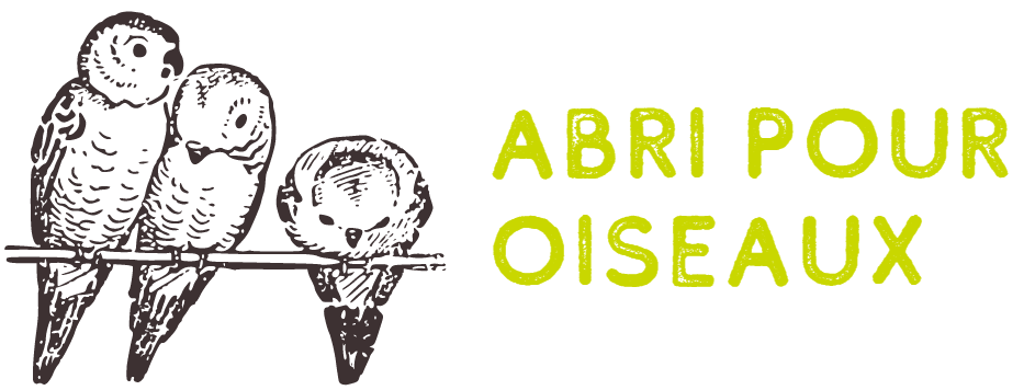 Abri pour oiseau